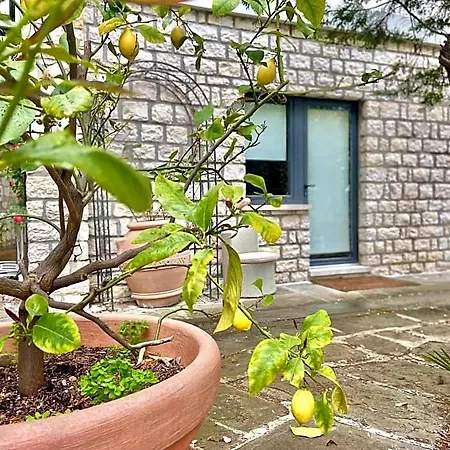 Le Due Palme Sirolo